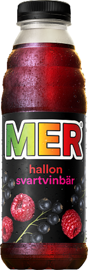 Picture of MER HALL/SV.VINBÄR PET 12X50CL