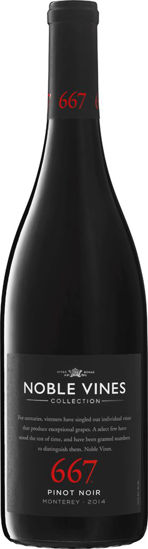 Picture of NOBLE 667 PINOT NOIR 12X75CL