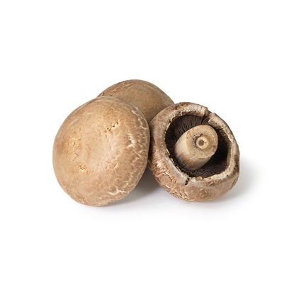 Picture of PORTABELLA SVAMP PL/SE 1,5-2KG