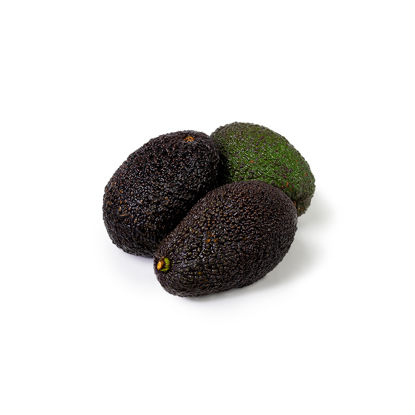 Picture of AVOCADO MOGEN CL 24ST