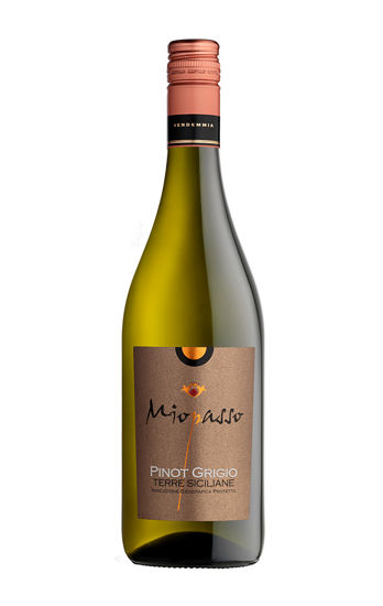 Picture of MIOPASSO PINOT GRIGIO  6X75 CL