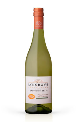 Picture of LYNGROVE COL SAUV BLANC 12X75C