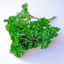 Picture of PERSILJA KRUS EU 250G
