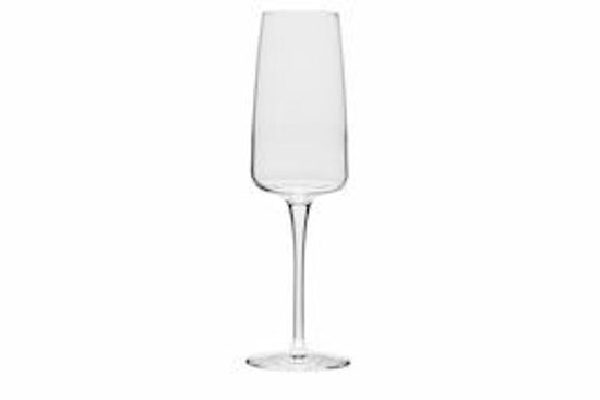 Picture of CHAMPAGNEGLAS NEXO 24CL (24)