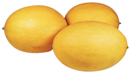 Picture of MELON HONUNGS BR 12KG
