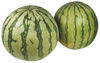 Picture of MELON VATTEN ES 15KG