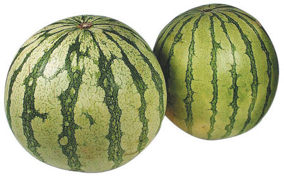 Picture of MELON VATTEN BR 15KG