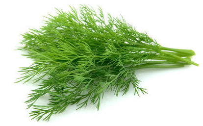 Picture of DILL IT 250G