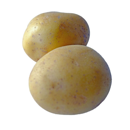 Picture of POTATIS FAST SE 3KG