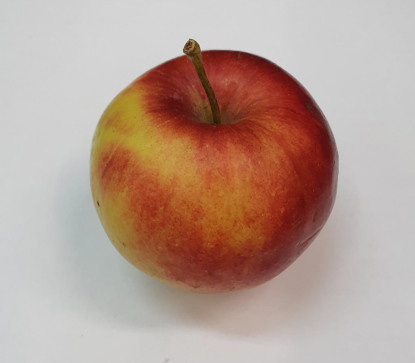 Picture of ÄPPLE ELISE SE 11KG