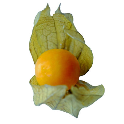 Picture of PHYSALIS CO 12X100G