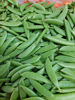 Picture of SUGAR SNAPS EKO SE 2KG