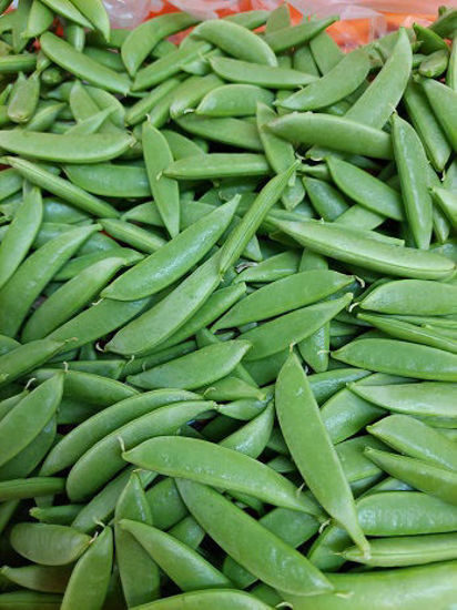 Picture of SUGAR SNAPS EKO SE 2KG
