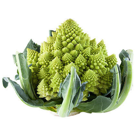 Picture of BLOMKÅL ROMANESCO DE 8ST