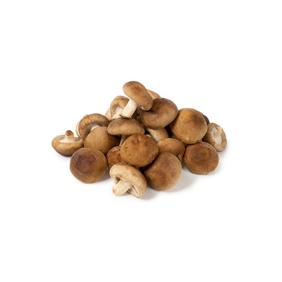 Picture of SVAMP SHIITAKE SE KRAV 2KG