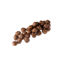 Picture of KÖTTBULLAR NÖT SE 5G/5KG