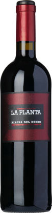 Picture of RIBERO D DUERO LA PLANTA 12X75