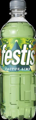 Picture of FESTIS CACTUS/LIME PET 12X50CL