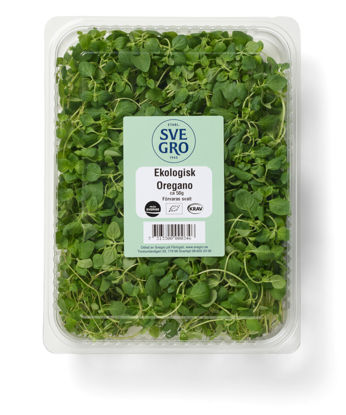 Picture of OREGANO SKUREN KRAV SE 50G