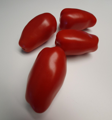 Picture of TOMAT SAN MARZANO STOR SE 5KG